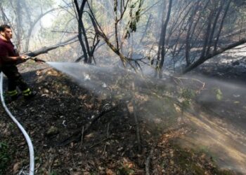 Incendi, fiamme al centro abitato a Campana
