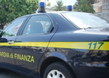 Piano di controllo economico nel territorio cosentino