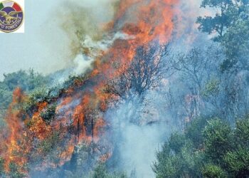 Incendio Caccuri, domate le fiamme che hanno lambito la S.S. 107