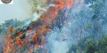 Incendio Caccuri, domate le fiamme che hanno lambito la S.S. 107