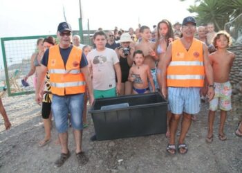 Liberate due tartarughe Caretta Caretta