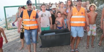 Liberate due tartarughe Caretta Caretta