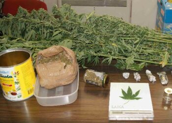 Coltivava ‘marijuana’ nel suo terreno agricolo