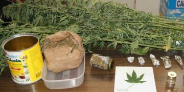 Coltivava ‘marijuana’ nel suo terreno agricolo