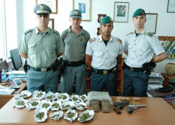 Sequestrata piantagione di canapa indiana, uomo colto in flagranza