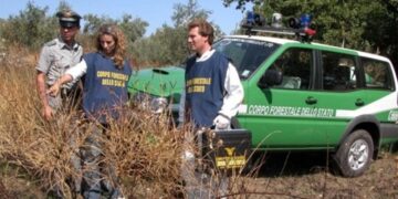 Pensionato denunciato per incendio boschivo colposo