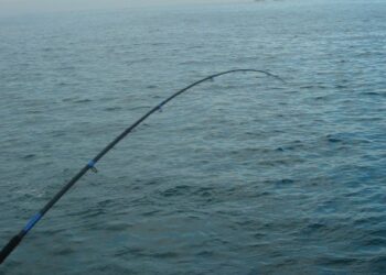 2° gara di pesca al pesce “Surice”