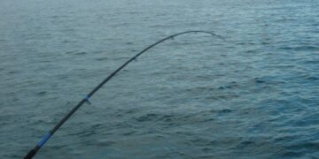 2° gara di pesca al pesce “Surice”