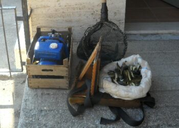Sequestrate anguille e cavedani pescati nel fiume Neto illegalmente