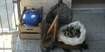 Sequestrate anguille e cavedani pescati nel fiume Neto illegalmente