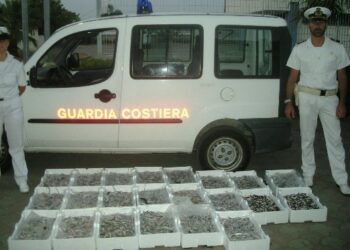 Sequestrati 110 chili di triglie