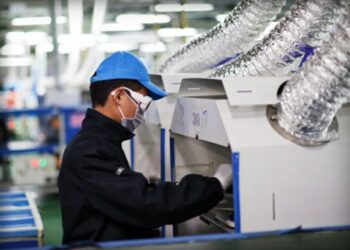 Società cooperativa agricola sottrae al fisco 80mila euro