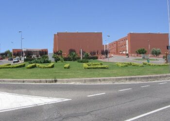 Universita’, centro servizio immatricolazioni per Cosenza, Catanzaro e Reggio Calabria