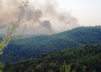 Il fuoco sta martoriando i boschi di Cirò