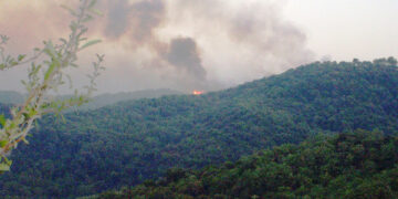 Il fuoco sta martoriando i boschi di Cirò