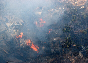 Due incendi in un giorno nella zona di Carfizzi