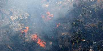 Due incendi in un giorno nella zona di Carfizzi