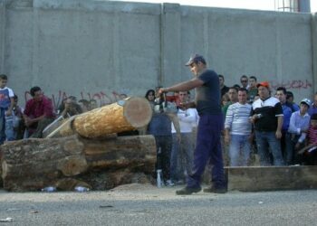 Boscovivo 2012, il mondo del bosco approda a San Giovanni in Fiore