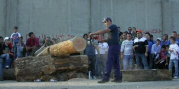 Boscovivo 2012, il mondo del bosco approda a San Giovanni in Fiore