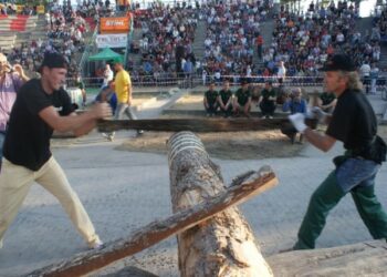 Domenica c’è Boscovivo a San Giovanni in Fiore