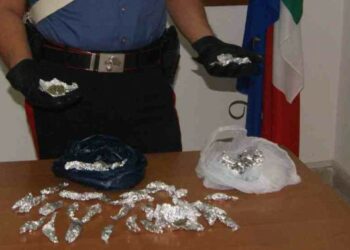 Droga nelle case popolari di Isola