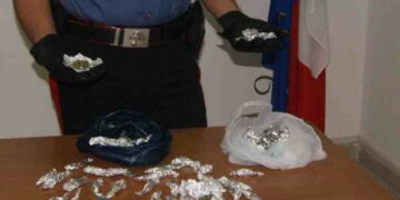 Droga nelle case popolari di Isola