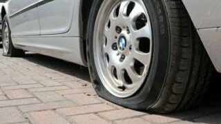 Tagliate gomme auto segretario Fratino