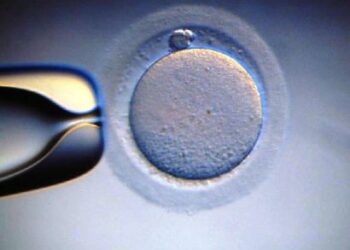 IX convegno di bioetica a Le Castella