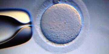 IX convegno di bioetica a Le Castella