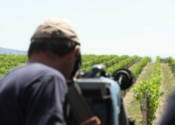 Riconoscimento al Moscato Saracena da Gambero Rosso