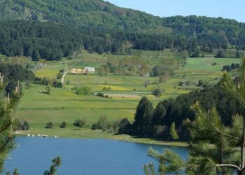 Parco della Sila per ‘Puliamo il mondo 2012’