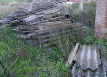 Ritrovate 1300 lastre di eternit presso il fiume Neto