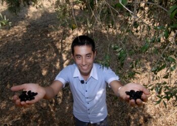 Imprenditore calabrese riceve premio ‘Oscar Green’