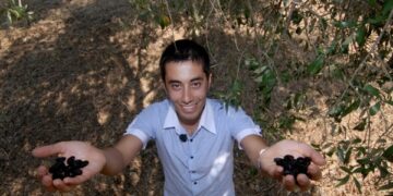 Imprenditore calabrese riceve premio ‘Oscar Green’