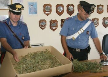 Coltiva marijuana in casa, arrestato 40enne a Ciro’ Marina