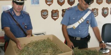 Coltiva marijuana in casa, arrestato 40enne a Ciro’ Marina