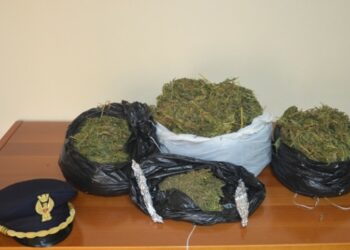 Sequestrati 6 kg di marijuana, arrestato coltivatore