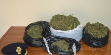 Sequestrati 6 kg di marijuana, arrestato coltivatore