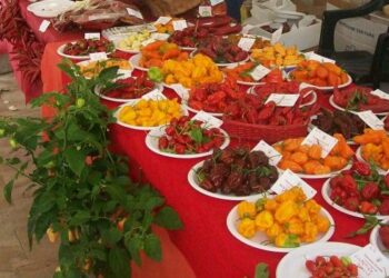 Ottava edizione della Festa della Cultura Calabrese a Pisa