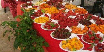 Ottava edizione della Festa della Cultura Calabrese a Pisa