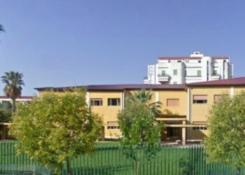 Consiglio comunale dei Giovani, iniziativa ‘Adotta un’aiuola’