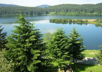 ‘I racconti silani di nonna Nicoletta’ di Pietro Pontieri