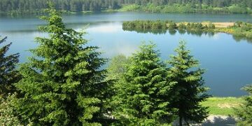 ‘I racconti silani di nonna Nicoletta’ di Pietro Pontieri