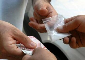 Traffico internazionale di droga, arrestate 43 persone in Calabria