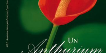 Undicesima giornata nazionale A.I.D.O. di informazione e autofinanziamento