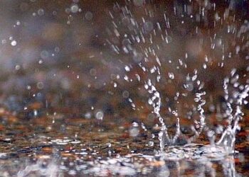 Affidati lavori nella zona Pip