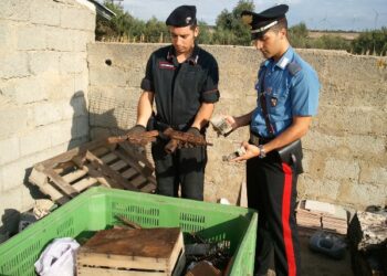 Arrestato agricoltore per detenzione di armi