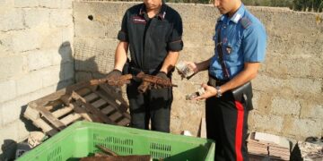 Arrestato agricoltore per detenzione di armi