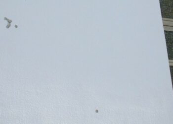 Colpi d’arma da fuoco contro Santuario a Scandale