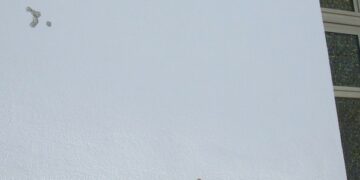 Colpi d’arma da fuoco contro Santuario a Scandale